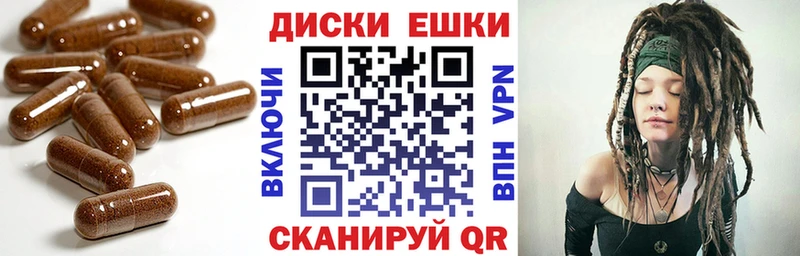 Ecstasy Дубай  Лодейное Поле 
