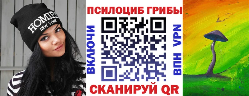 Псилоцибиновые грибы Psilocybine cubensis  Лодейное Поле 